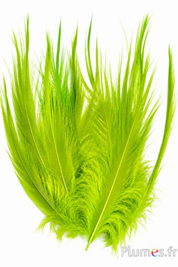 Kraanvogel - 12-14 cm - limoengroen
